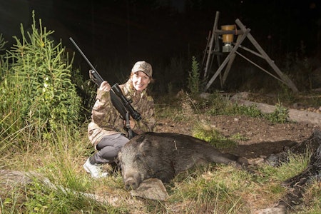 Førstegris ut: Ellen fikk æren av å felle feriens første gris. Den falt allerede samme kveld som vi ankom. Familiefere og jakt, villsvinjakt i Sverige