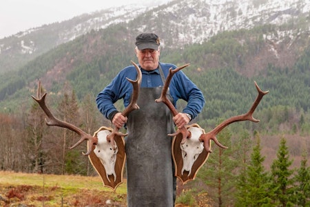 Veggpynt: Toralf Talgø med to ferdig monterte hjortegevir, klare for levering til jegerne. Gevir, hjortegevir, gevirmontering