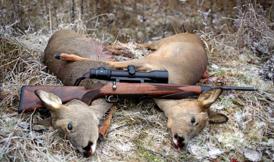 Rådyrjakt er både spennende og populært. Her er våre beste tips til en vellykket rådyrjakt to skutte rådyr på bakken med rifle over seg