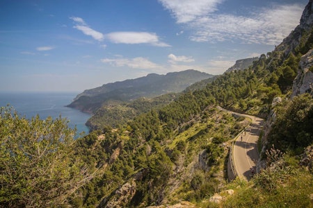 Alle elsker mallorca: Veien som går langs klippene på nordvestkysten er selvfølgelig en del av turrittet Mallorca 312. Foto: Rafa Babot.