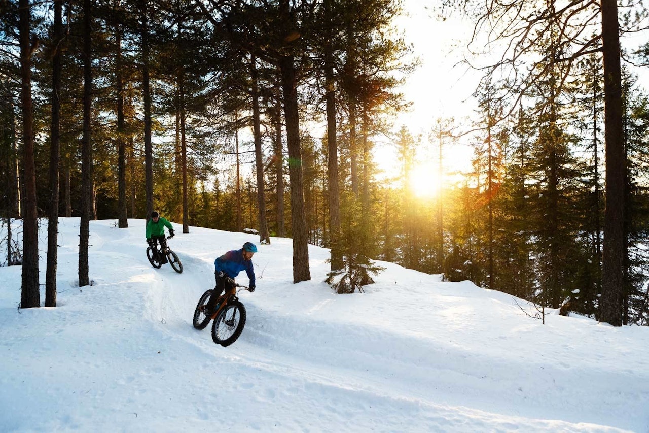 FEITE SYKLER: Du har sikkert sett en før, men lurer du litt på hva det er? Foto: Kristoffer H. Kippernes fatbike