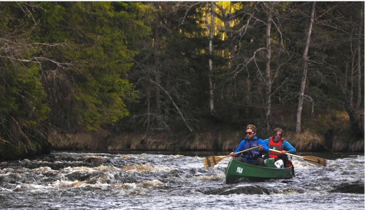 kanotur padling 