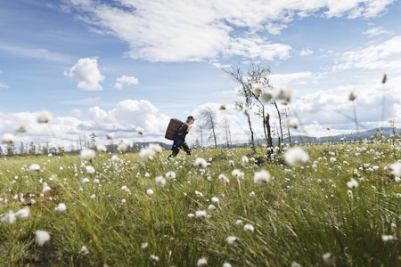 EKSPEDISJON: Vannveien tok oss fra Rogen naturreservat gjennom norsk og svensk natur hele veien ned til Göteborg. Foto: Anna Ölund kanotur gjennnom skandianvias lengste vassdrag