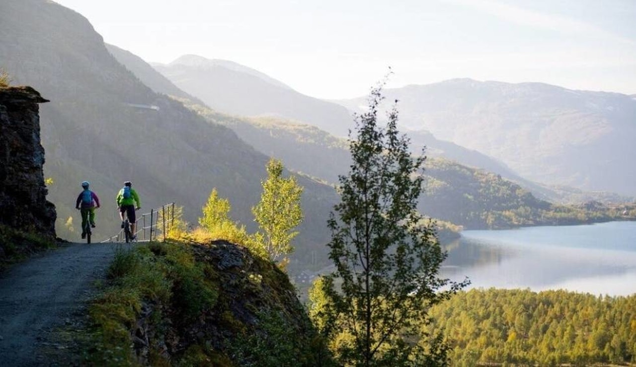SYKKELFERIE: Rallarvegen er et populært turprosjekt, der logistikken er  godt lagt til rette for en fin tur ned mot Flåm. Sykkeltur sykkel sykler