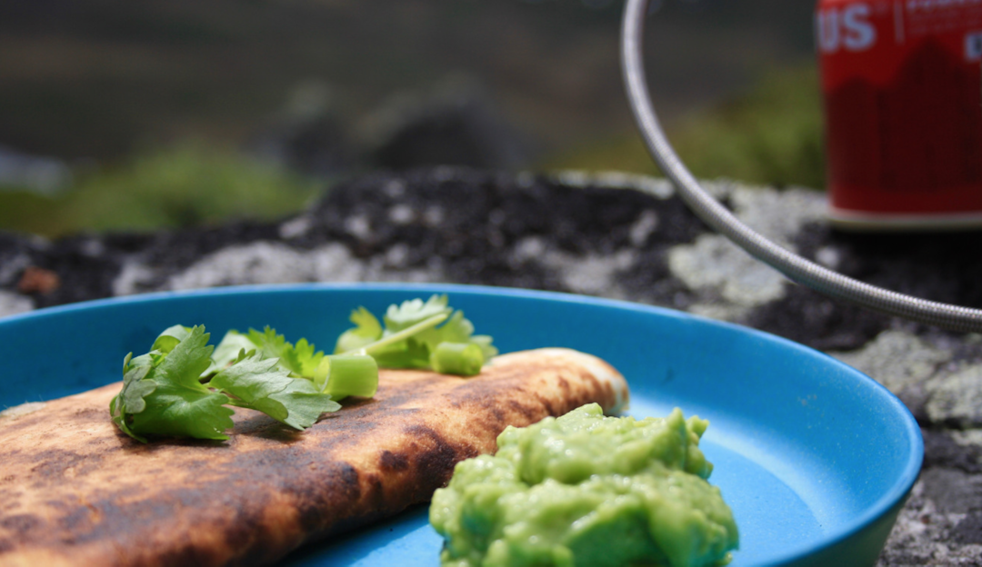 VELBEKOMME: Et herlig og enkelt lite måltid som smaker aller best ute. Foto: Ragnhild Moen Holø Quesedillas på primus