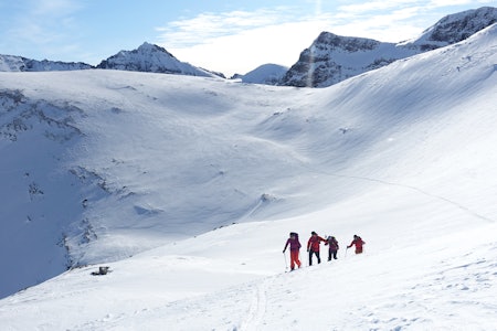 VÆR KLAR: Når du skal på topptur bør du være i best mulig form. Her får du tips til hvordan du bør trene for toppturen. Foto: Tore Meirik VÆR KLAR: Når du skal på topptur bør du være i best mulig form. Her får du tips til hvordan du bør trene for toppturen. Foto: Tore Meirik
