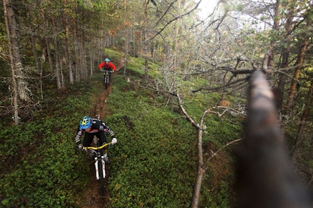 NORGES BESTE: Vårt langstrakte land er fullt av deilige sykkelstier, men noen er bedre enn andre, som Sogndal (bildet). Vi gir deg fem av de beste, norske destinasjonene for stisykling. Foto: Kristoffer H. Kippernes Stisykling fri flyt guide og tips