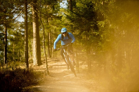NETTVERK: Bjørn Ballangrud har helt «friweelie» havnet et stykke øst i Nordmarka. Rettere sagt Lillomarka. Foto: Vegard Breie NETTVERK: Bjørn Ballangrud har helt «friweelie» havnet et stykke øst i Nordmarka. Rettere sagt Lillomarka. Foto: Vegard Breie