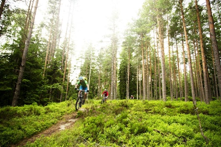 SUPRE STIER: Østmarka utenfor Olso er full av fin stisykling. Foto: Kristoffer Kippernes Oslo sommer sykkel
