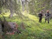 Jaktreiser trenger ikke alltid være så langt av sted. Elgjakt i Sverige kan være en spennende opplevelse. Elgjakt med løshund, elgjakt sverige, jaktreise sverige
