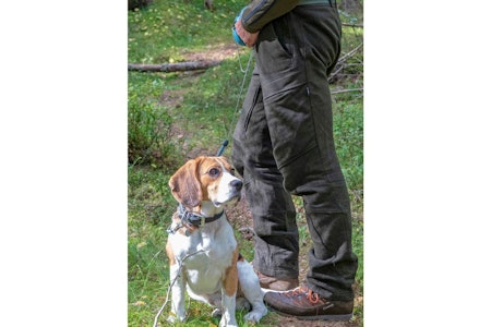 Lett og luftig: Vadmel i seg sjøl puster godt, men lufting på lårene gjør Jagdhund Gamsleiten enda luftigere. Test av Jagdhund Gamsleiten 2 jeger og hund