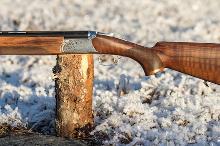 Rimelig: Huglu Ventus Compact damehagle Damehagla Huglu Ventus Compact plassert på en stokk utendørs sett fra siden