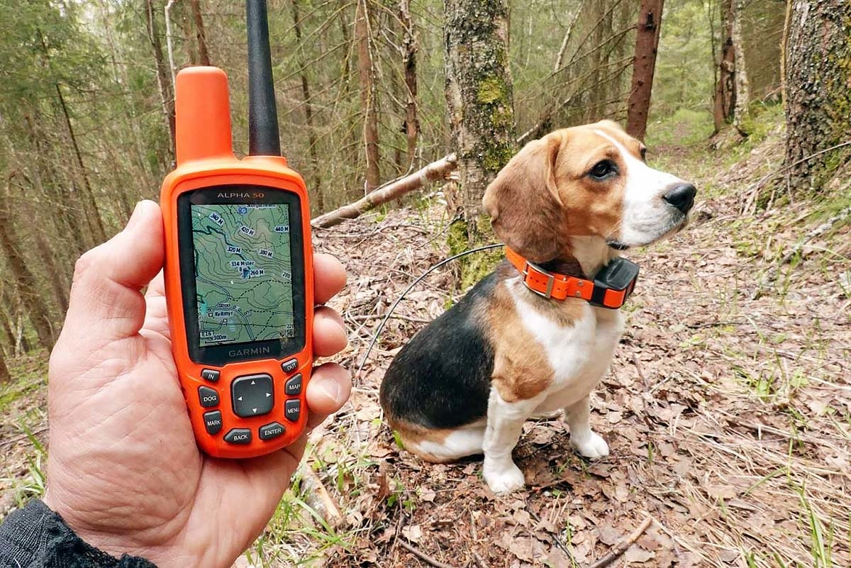 sø forhold band GPS - Håndholdt, bærbar og til hund - best i test | JEGER.NO