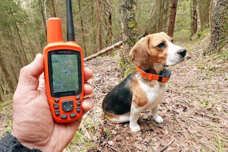 notifikation Endeløs stemning GPS - Håndholdt, bærbar og til hund - best i test | JEGER.NO