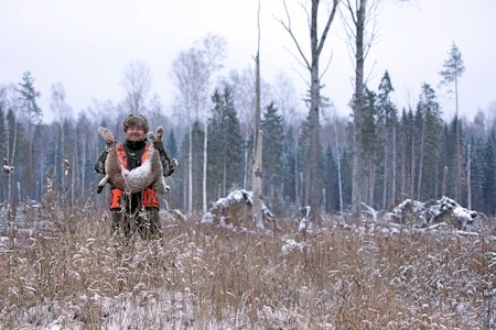Fornøyd jeger: Martin Petersen med gaupa som han fikk felt, etter å ha skutt bom på første forsøk under gaupejakt i Latvia. Fornøyd jeger: Martin Petersen med gaupa som han fikk felt, etter å ha skutt bom på første forsøk under gaupejakt i Latvia.