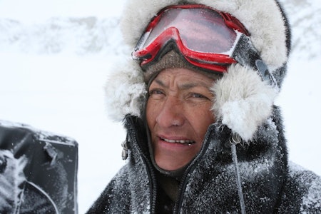 Snøbask: Johanne Bech og turfølget kravler opp en liten bakke for å legge en nærmere slagplan for hvordan vi skal nærme oss moskusoksene. Johanne Bech, jaktreise Grønland, guide på moskusjakt