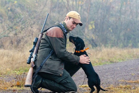 Når du skal igang med innjaging av en unghund, er det lurt å spørre noen som du vet er dyktige med jakthunder. innjaging unghund