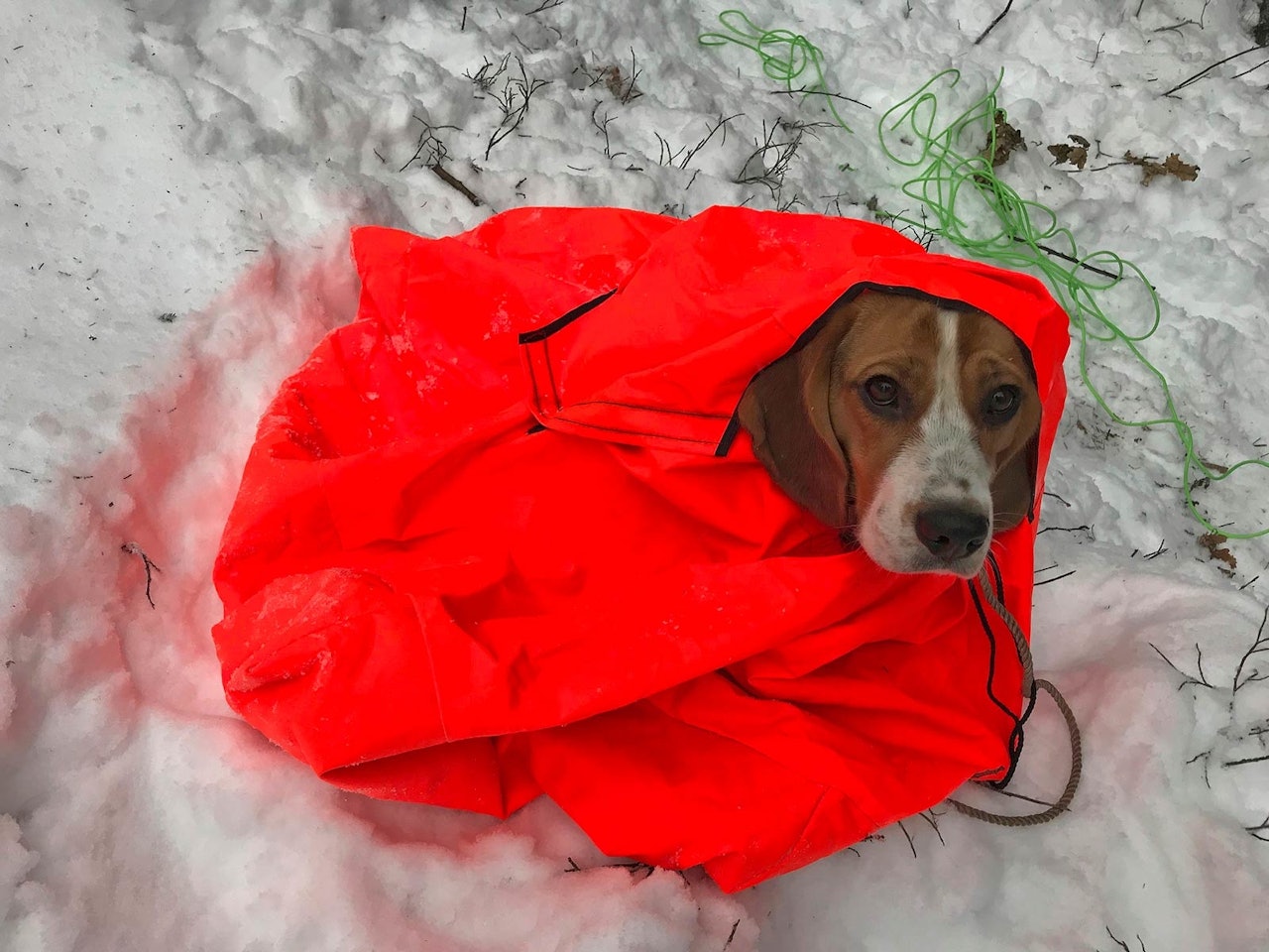 Stormklaff: Kjekt med hetta som enkelt kan brettes over hodet og festes med borrelås.