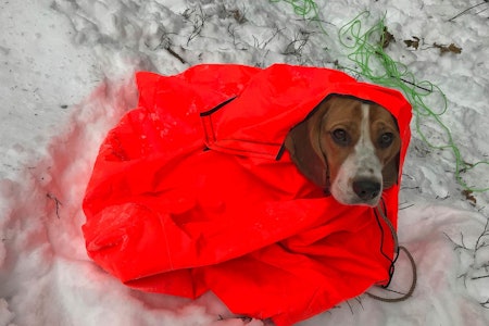 Stormklaff: Kjekt med hetta som enkelt kan brettes over hodet og festes med borrelås. Stormklaff: Kjekt med hetta som enkelt kan brettes over hodet og festes med borrelås.