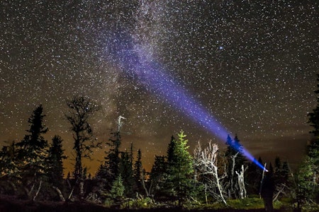 test av hodelykt i skogen under sjernehimmel