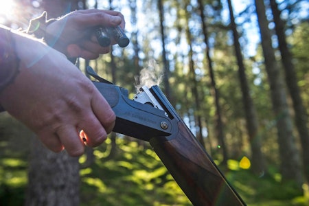 Hagleammunisjon: US 2, 5 eller 7? test av ammunisjon i us 2 us 5 us 7 til hagle