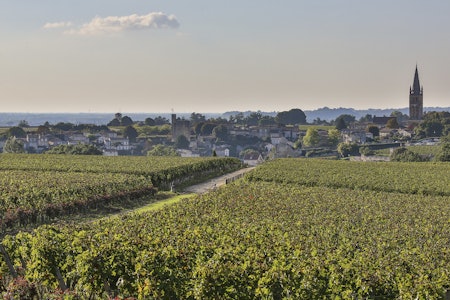 Gjennom drueåkrer som gir noen av verdens edleste viner, kan Touren avgjøres på nest siste dag.