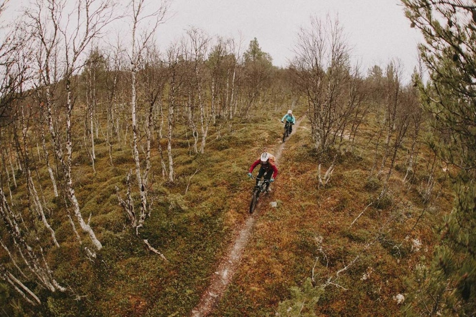 Sykling Røros | TERRENGSYKKEL.NO