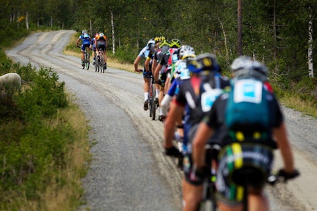 BEKREFTER: Birkebeinerrittet har hatt samme praksis som Styrkeprøven. Foto: Kristoffer H. Kippernes syklister på grusvei