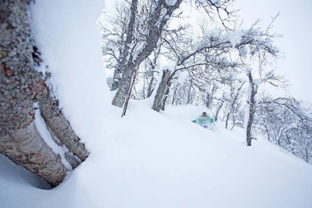 HEMSEDAL: Hemsedal. Foto: Kalle Hägglund Hemsedal