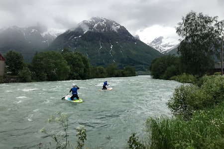 Elve-SUP safari i Stryneelva. Foto: Hallgeir Thorbjørnsen Elve-SUP safari. Foto: Hallgeir Thorbjørnsen