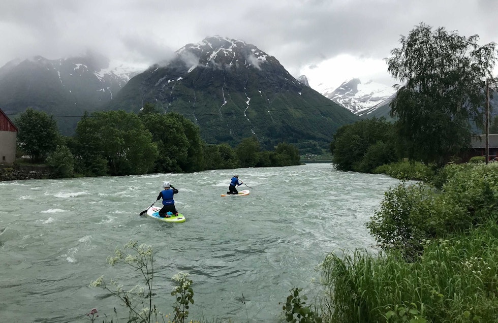 Elve-SUP safari i Stryneelva. Foto: Hallgeir Thorbjørnsen Elve-SUP safari. Foto: Hallgeir Thorbjørnsen