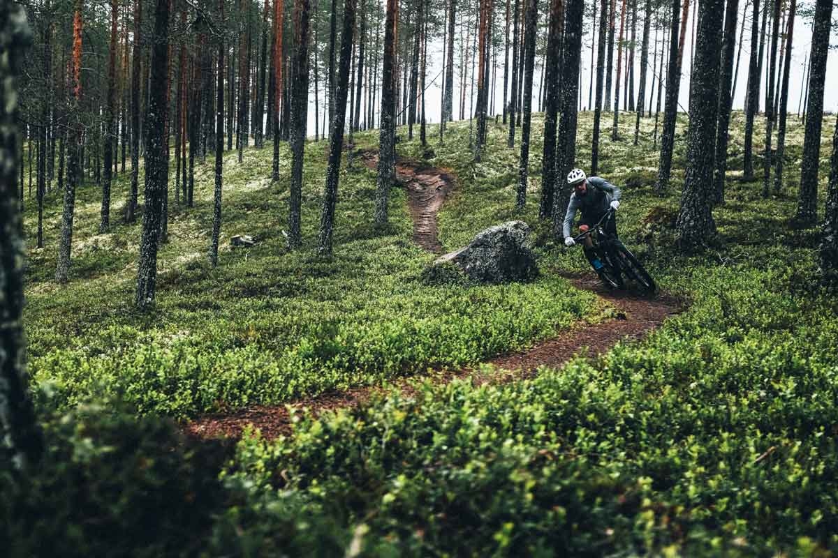 Trysilmarka har et fantastisk nettverk av genuine stiopplevelser som venter på deg. Foto: Sjur Melsaas