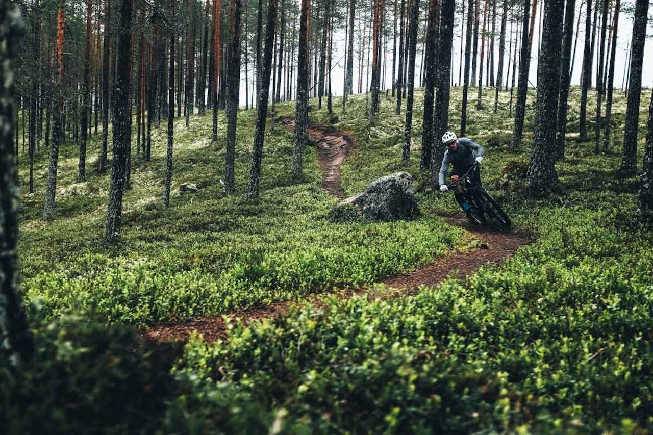 Trysilmarka har et fantastisk nettverk av genuine stiopplevelser som venter på deg. Foto: Sjur Melsaas Trysilmarka har et fantastisk nettverk av genuine stiopplevelser som venter på deg. Foto: Sjur Melsaas