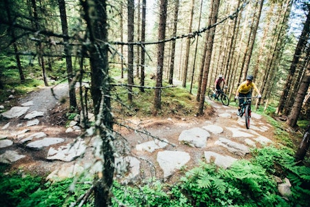 STISYKLING I TRYSIL: Det er et stort nettverk av stier i Trysil for sykling. Her får du tipsene til din neste sykkeltur. Foto: Sjur Melsås guide stisykling trysil sykling tips terrengsykling