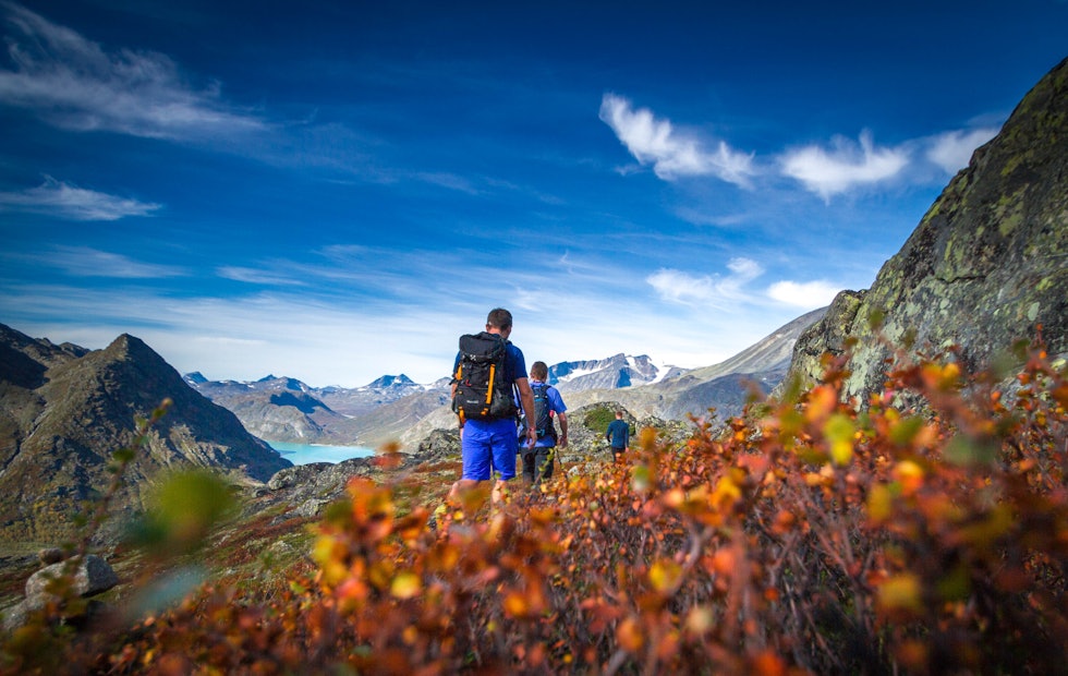 Foto: Anne Loftu Foto: Anne Loftu