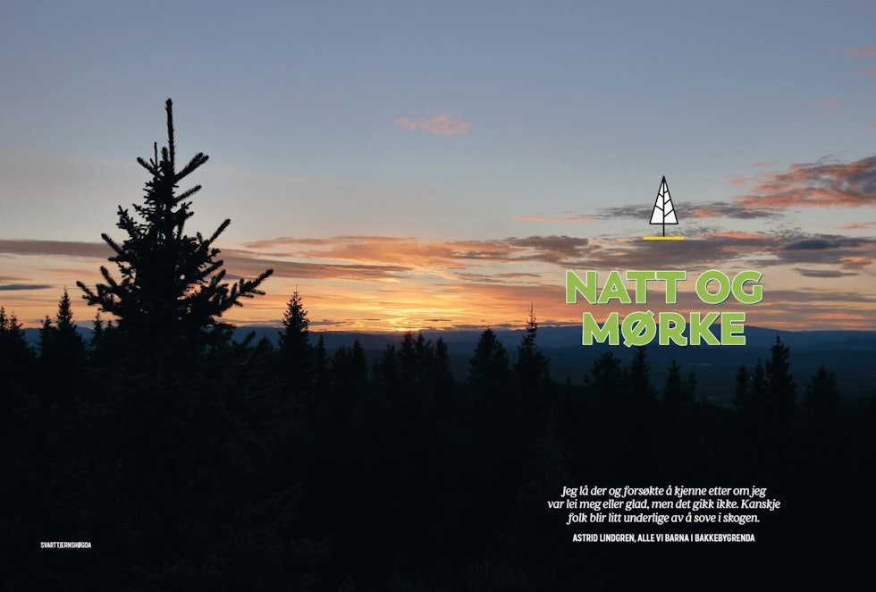 Natten kan både være magisk og skummel. Vi deler våre erfaringer. Utenetter mørke mørkredd