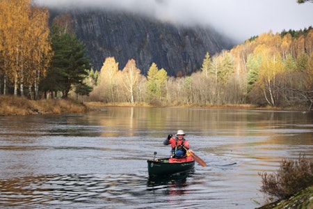FIN FLYT: Hallingdalselva går parallelt med veien og er derfor lett tilgjengelig. Utsikten for padleren er allikevel spektakulær fordi det er mange løvtrær som, spesielt om høsten, er flotte å se på. Foto: Kristoffer Vandbakk Hallingdalselva