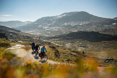 RALLARVEGEN: Rallarvegen har blitt kalt verdens vakreste sykkelvei. Sykling i disse omgivelsene kan inspirere hvem som helst til å utforske mer av områdene. Foto: Sverre Hjørnevik  tips til deg som skal sykle rallarvegen