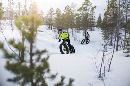 VINTERSYKLING: Jo lenger det går etter siste snøfall, jo flere og bedre blir stiene.Foto: Sjur Melsås vintersykling