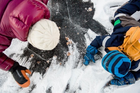 EN LITEN SKØYTETUR: Isen er gøy å bevege seg på, og det er ganske spennende å sjekke om man kan se noe der nede. Foto: Line Hårklau skøytetur med barn