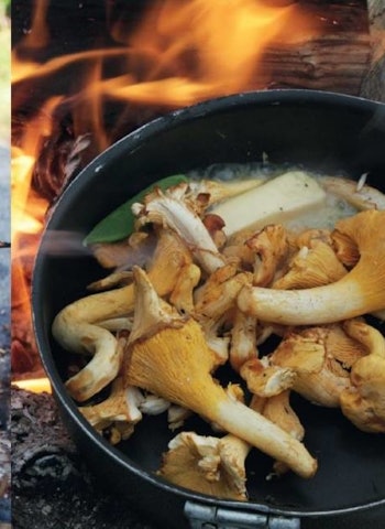 LAG NOE GODT: Lite smaker mer av skog som sopp kombinert med godt tilberedt kjøtt. Foto: Nina Volstad utenetter god mat finere mat på tur langtidsstekt kjøtt på bål