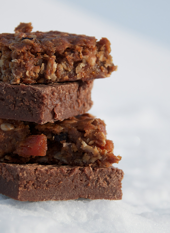 KALDE KALORIBOMBER: Bjørnebrød og brownies som aldri fryser. Foto: Sigrid Henjum bjørnebrød og svalbardkake energibar