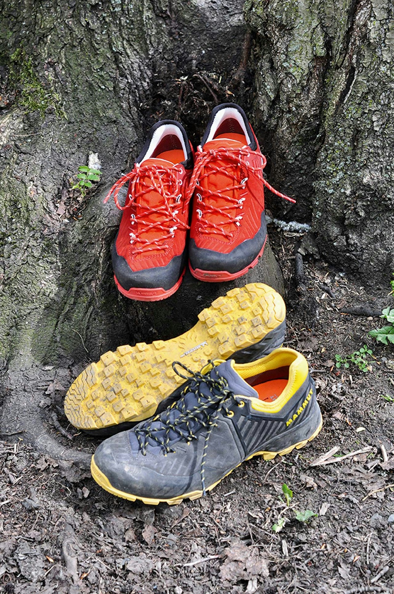 TEST: Mammut Alnasca II Low GTX Mammut Alnasca II Low GTX anmarsjsko test