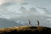 I STEGET: Erlend Sande og Tore Meirik tester terrengløpe på myk fjellsti. Foto: Martin I. Dalen