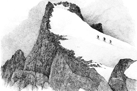 Illustrasjon: Danny Larsen Illustrasjon: Danny Larsen