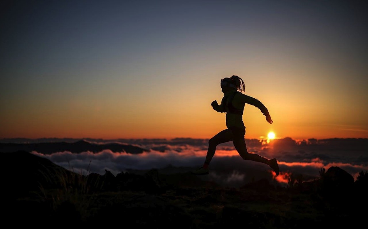 KONTRASTEN: Dei daglege barmarksøktene opplevast no som traustare enn nokon gong. Foto: Philip Reiter KONTRASTEN: Dei daglege barmarksøktene opplevast no som traustare enn nokon gong. Foto: Philip Reiter