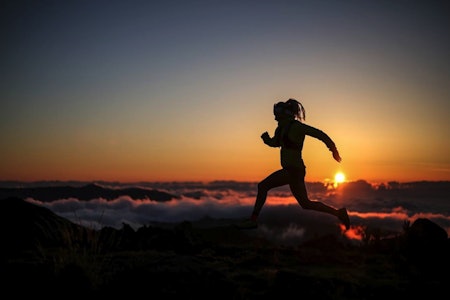 KONTRASTEN: Dei daglege barmarksøktene opplevast no som traustare enn nokon gong. Foto: Philip Reiter KONTRASTEN: Dei daglege barmarksøktene opplevast no som traustare enn nokon gong. Foto: Philip Reiter