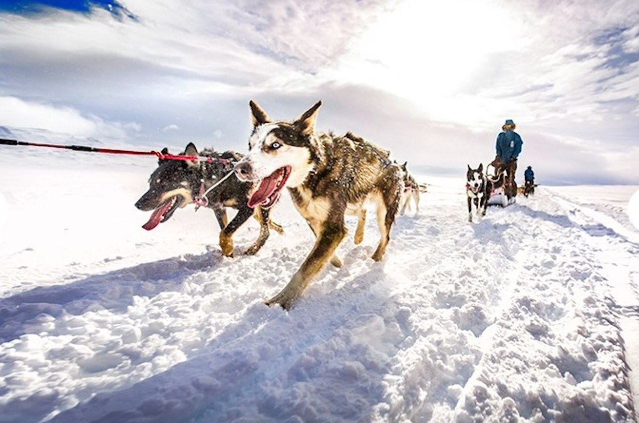 Populært: I fjor søkte over 500 mennesker om å bli en av de 20 som får delta i Fjällräven Polar. Foto: Fjällräven fjellreven polar