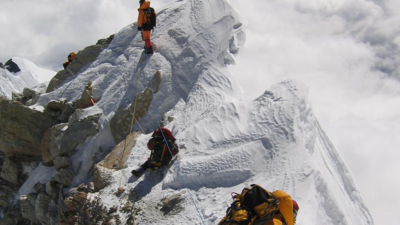 Foto: Hvitserk Foto: Hvitserk