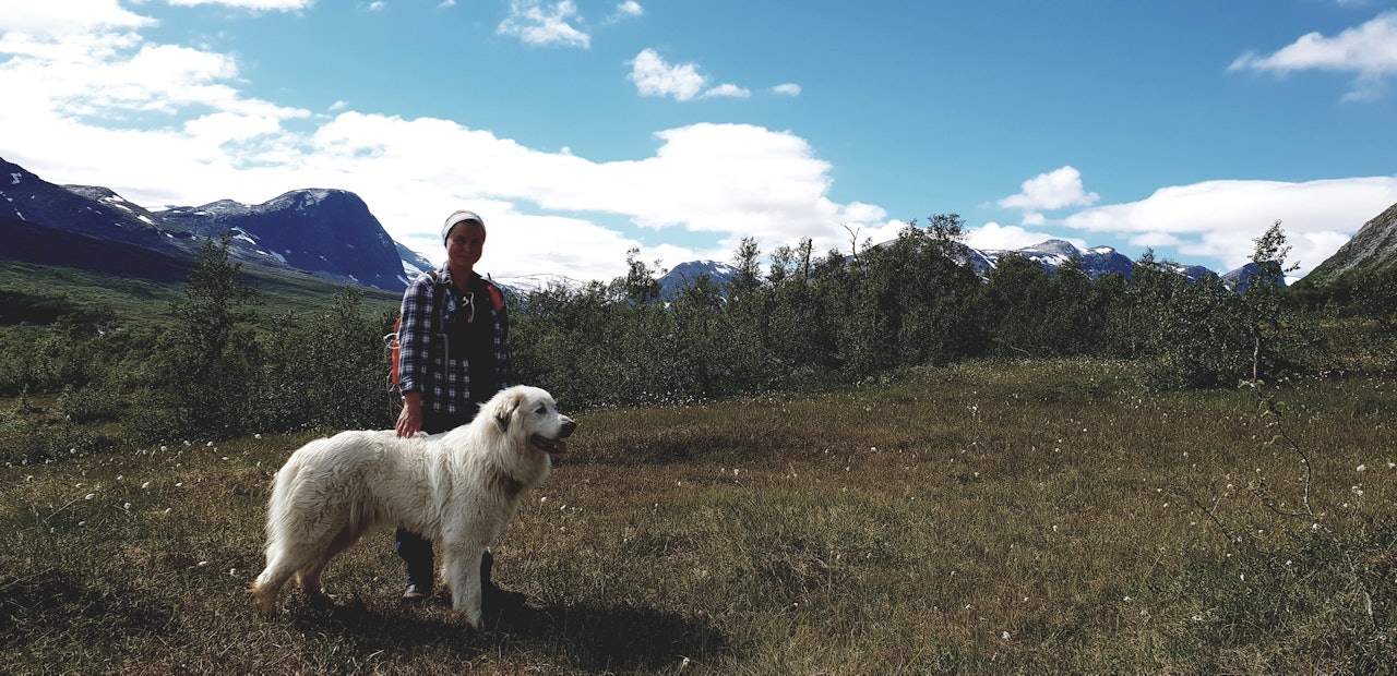 GJETERLIVET: For femte sommer på rad er Ingrid Røskar i gang med sommerjobben med å vokte sau. I sommer deler hun opplevelsene sine med oss. gjeteren i vermedalen